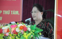 Chủ tịch Quốc hội: Quy trách nhiệm, xử lý nghiêm sai phạm