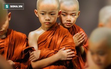 Chỉ còn sống được 7 ngày, chú tiểu bất ngờ thay đổi số mệnh nhờ làm 1 việc không ngờ