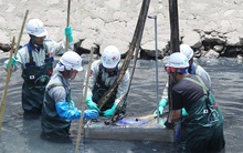 Giám đốc Sở Xây dựng phát biểu thiếu căn cứ về công nghệ làm sạch sông Tô Lịch?