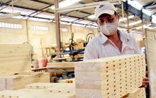 Kỷ lục 2019 đầu tiên, thu hơn 11 tỷ USD