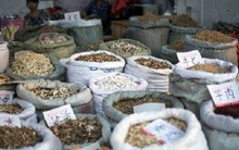 Phá đường dây buôn lậu hàng chục tấn dược liệu làm thuốc bắc