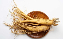 Dùng nhân sâm phòng, chữa ung thư: Chuyên gia chỉ rõ lợi - hại, người bệnh cần đọc kỹ