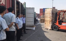 Phát hiện 25 container gỗ xẻ đội lốt gỗ cao su, trị giá 11 tỉ đồng