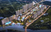 Ham ăn lãi gấp 3 lần tiết kiệm, gặp 1 cú sốc ôm hận trăm tỷ