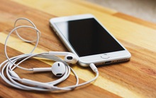 Một sai lầm cực to mà những người thông minh đang mắc phải: Đọc quá nhiều sách và bỏ quên điều cực kỳ quan trọng - podcast