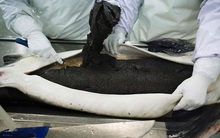 Khách hàng nước ngoài không dám tin tưởng chất lượng hàng "xịn" của TQ chỉ vì 3 chữ "Made in China"