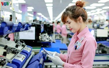 Xuất khẩu 2019: Một năm nhìn lại