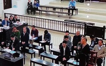 Cựu Chủ tịch MobiFone Lê Nam Trà nói áp lực suốt 2 năm, tự thú để "thực sự thanh thản"