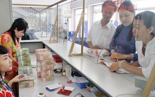 Gần 20.000 doanh nghiệp tại Tp. HCM bị thanh, kiểm tra thuế