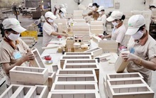 Xuất khẩu lâm sản năm 2019 đạt mức cao nhất từ trước đến nay