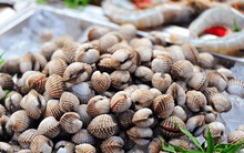 Ăn sò huyết nướng cho bổ máu vào mùa đông, chuyên gia cảnh báo hãy ghi nhớ điều này