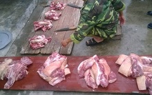 Đắt hơn bò Mỹ, dân Thủ đô đụng lợn ăn chung như thời bao cấp