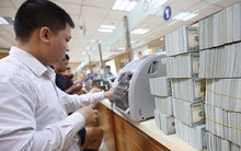 Một năm “rã đông” tiền gửi ngoại tệ