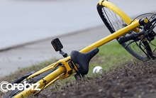 2019 – Năm 'tử thần' của giới khởi nghiệp toàn thế giới