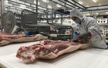 Thêm nhiều “ông lớn” đầu tư vào ngành nông nghiệp