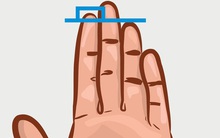 Chiều dài ngón trỏ và ngón đeo nhẫn tiết lộ sự thành đạt, khả năng làm lãnh đạo, ưu – khuyết điểm của bạn!