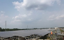 Điện mặt trời mù mờ đường ra