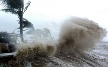 Công điện chỉ đạo khẩn trương ứng phó bão số 8