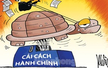 Lợn bị cấm ăn bèo, nuôi trùn quế bị phạt 50 triệu: Ai 'đẻ' quy định gây khó dân?