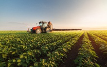 Bất động sản nông nghiệp:'Chưa minh bạch, không an toàn'