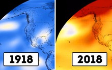 6 sự thật đã được chứng minh là sai đến nực cười, nhưng sắp sang thập kỷ mới rồi mà rất nhiều người vẫn tin