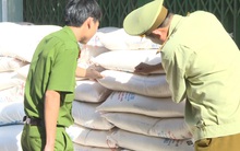 Tạm giữ 5,1 tấn đường tinh luyện không có giấy tờ hợp pháp