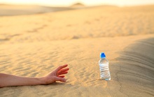 Câu hỏi phỏng vấn "hack não": Trong sa mạc có 2 cốc nước, 1 ly nước tiểu của ngựa, 1 ly nước tiểu của người, bạn sẽ chọn cái nào để uống khi sắp chết khát?