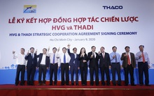 Thuỷ sản Hùng Vương (HVG): Cùng THADI lập công ty heo giống và thức ăn chăn nuôi vốn điều lệ 556 tỷ đồng