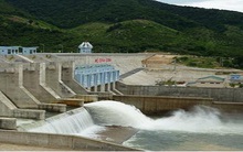 SCIC thắng đậm phiên thoái vốn tại Tổng công ty Tư vấn Xây dựng Thủy lợi Việt Nam, giá bán gấp 3,2 lần giá chào