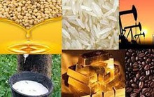 Thị trường ngày 16/01: Giá vàng tăng trở lại, dầu, quặng sắt, thép đồng loạt giảm