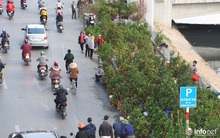 Vỉa hè, sân nhà ga đường sắt trên cao Cát Linh - Hà Đông thành chợ hoa Tết