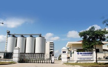 Halico tiếp tục thua lỗ trong năm 2019, lỗ lũy kế tăng lên hơn 400 tỷ đồng