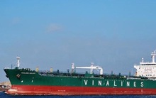 Báo cáo giám sát DNNN: 12 trường hợp lỗ 720 tỷ đồng, 16 trường hợp cảnh báo về an toàn tài chính