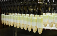 KIDO tăng 35% lãi ròng lên 200 tỷ đồng, nhờ ngành lạnh tiếp tục tăng trưởng