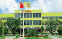 Rạng Đông Holding (RDP): Năm 2019 lãi 82 tỷ đồng cao gấp 7 lần cùng kỳ