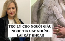 Nghề trợ lý cá nhân cho giới siêu giàu: Ngày ngày mua sắm ở những cửa hàng xa xỉ bậc nhất, 3 giờ sáng vẫn phải giải quyết vấn đề cho "Thượng Đế"