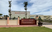 Caminex (CMX): Quý 4/2019 lãi 64 tỷ đồng cao gấp hơn 3 lần cùng kỳ