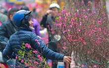 Từ mùng 1 Tết, Bắc Bộ rét đậm có nơi rét hại