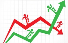 Những cổ phiếu tăng sốc – giảm sâu năm 2019