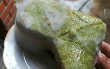 Trong bánh chưng mốc có chứa 2 chất "kịch độc" gây hại gan, thận, dù loại bỏ phần mốc để ăn vẫn khiến bạn đối mặt với nguy cơ ngộ độc, ung thư