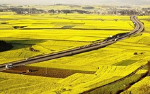 Ninh Bình chuyển mục đích sử dụng hơn 78ha đất tại tỉnh Ninh Bình