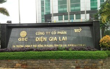 Điện Gia Lai (GEG): Năm 2019 lãi 254 tỷ đồng, vượt 108% kế hoạch