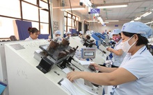 Vinatex (VGT): Quý 4/2019 lãi ròng 94 tỷ đồng cao gấp 3 lần cùng kỳ