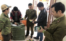 Thu giữ 14.000 bao bì giả mạo nhãn hiệu Knorr tại Lạng Sơn