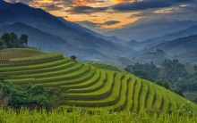 CNBC gọi Mù Cang Chải là "viên ngọc xa xôi", đặt lên top đầu điểm đến du lịch 2020