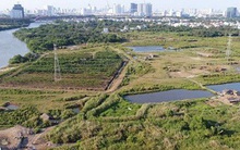 Công an TP.HCM thông tin việc bắt 2 nguyên lãnh đạo Công ty Tân Thuận