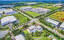 Idico (IDC) báo lãi trước thuế năm 2019 tăng gấp rưỡi cùng kỳ, vượt 22% kế hoạch năm