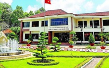 Bình Dương thu hồi 25 khu đất của Công ty Cao su Dầu Tiếng