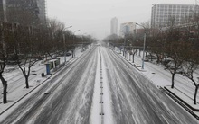 The Guardian: Không phải nền kinh tế châu Á nào, đây mới là quốc gia có khả năng thiệt hại lớn nhất vì "thiên nga đen" coronavirus