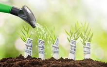 Lịch sự kiện và tin vắn chứng khoán ngày 12/02